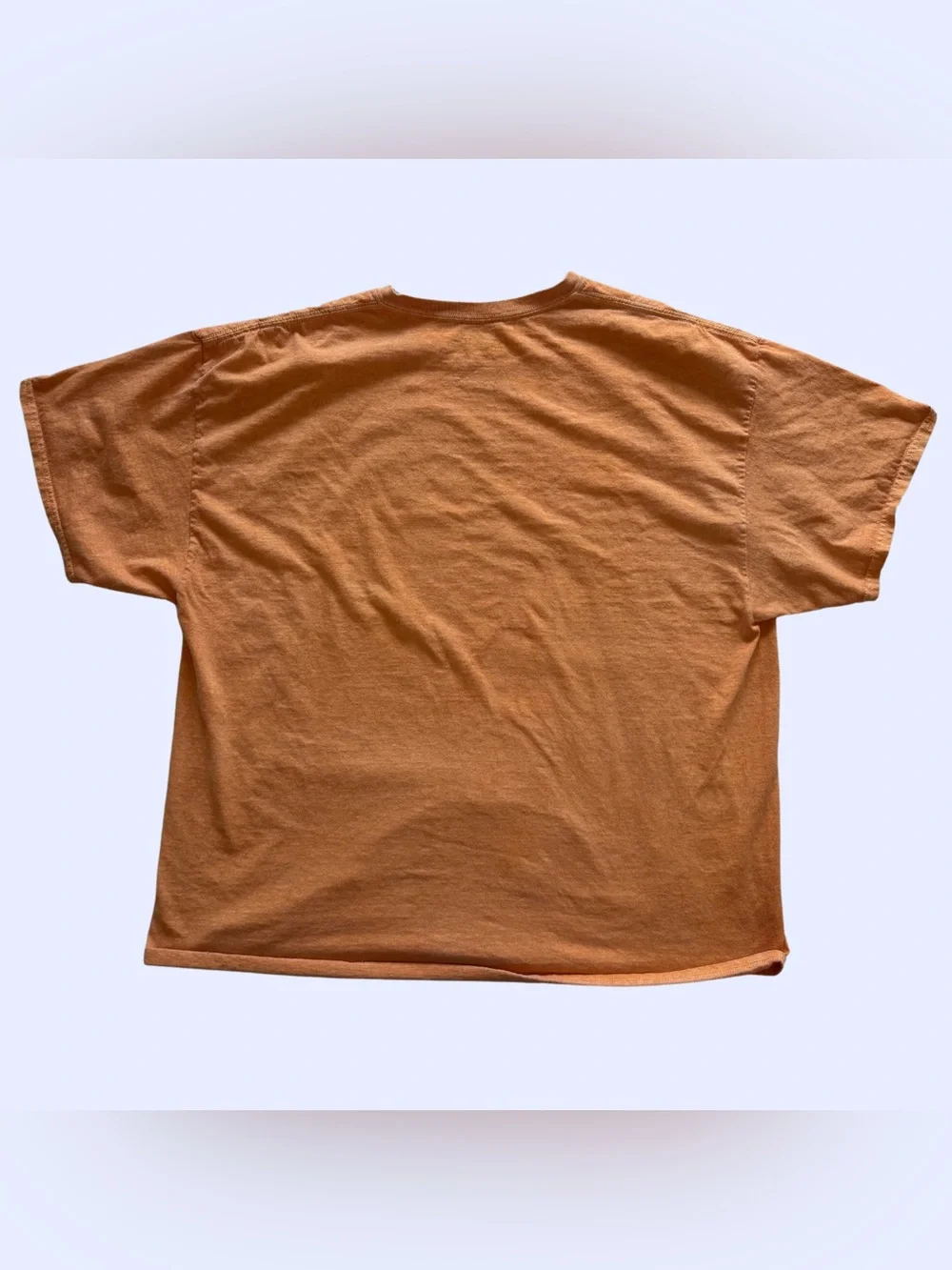 Urban Outfitters Rust Orange Sublime Sun Graphic Tee